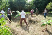 équipe terrain ferme agricole 2017 semer CMD el chico -Cuba -havane